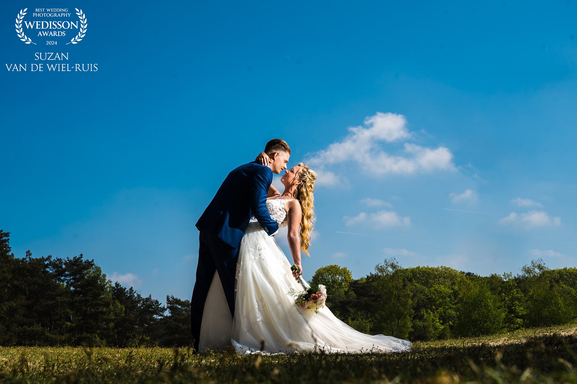 Wedisson award Wedisson award