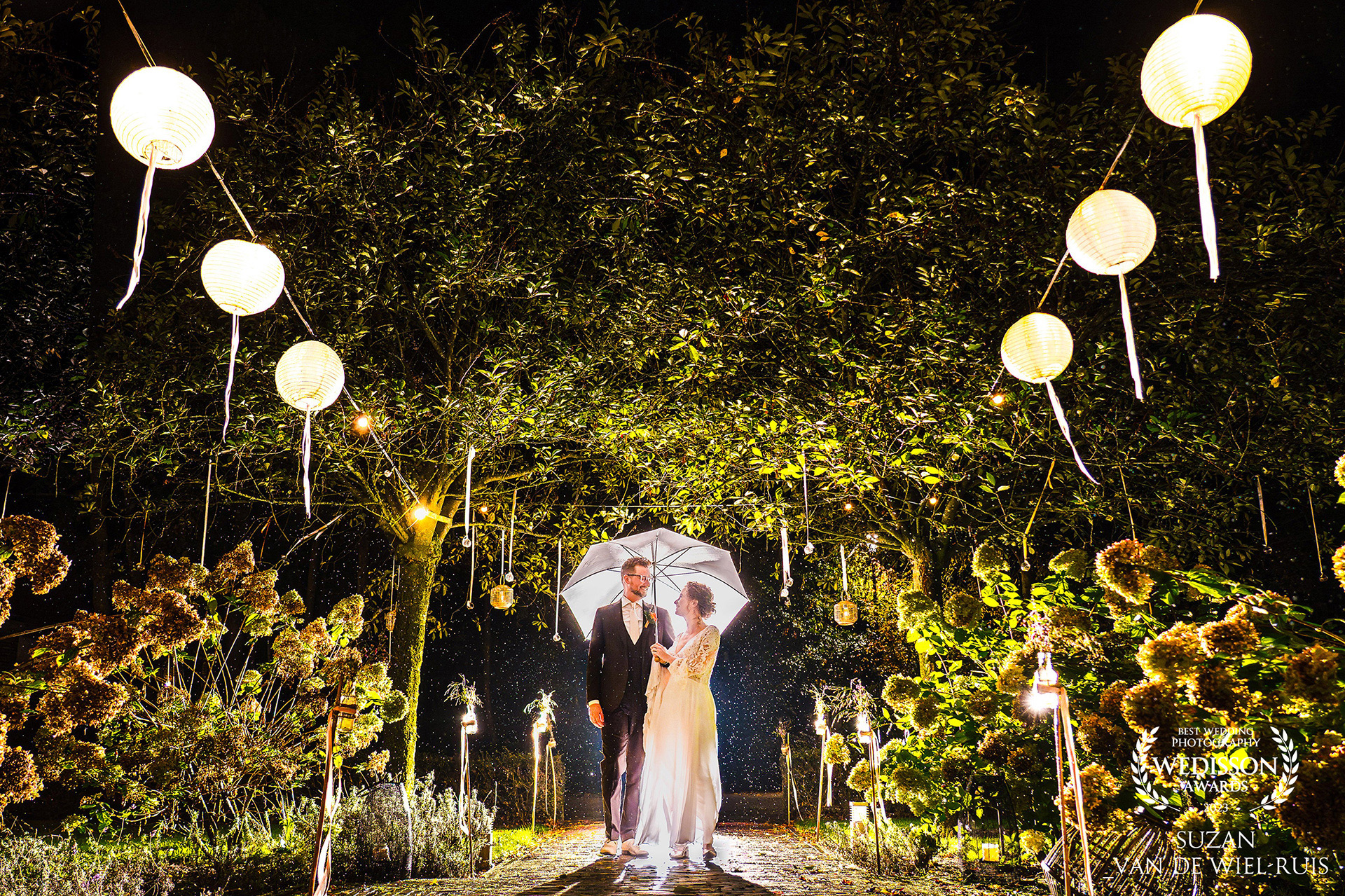 Wedisson award Wedisson award