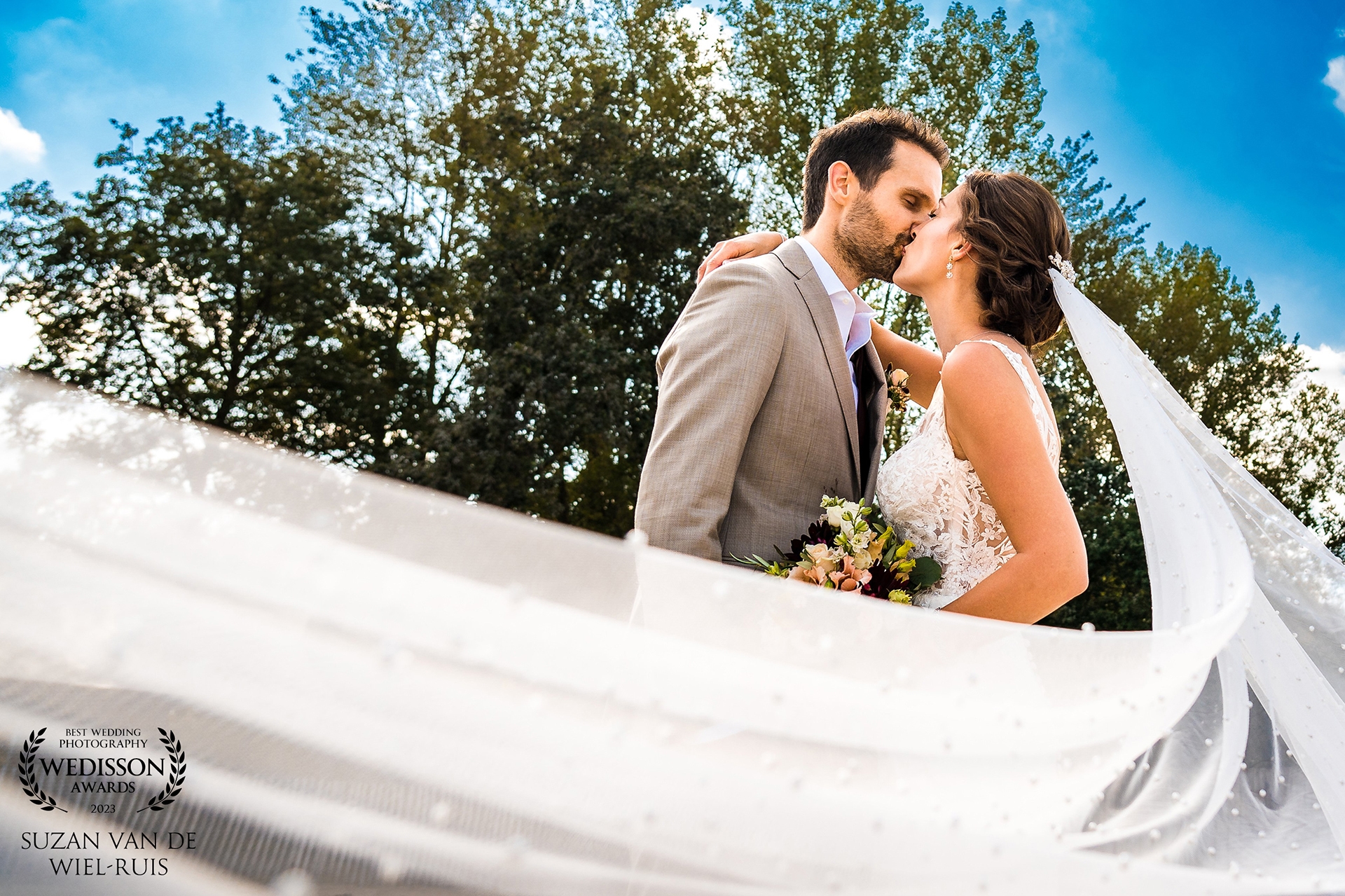 Wedisson award Wedisson award