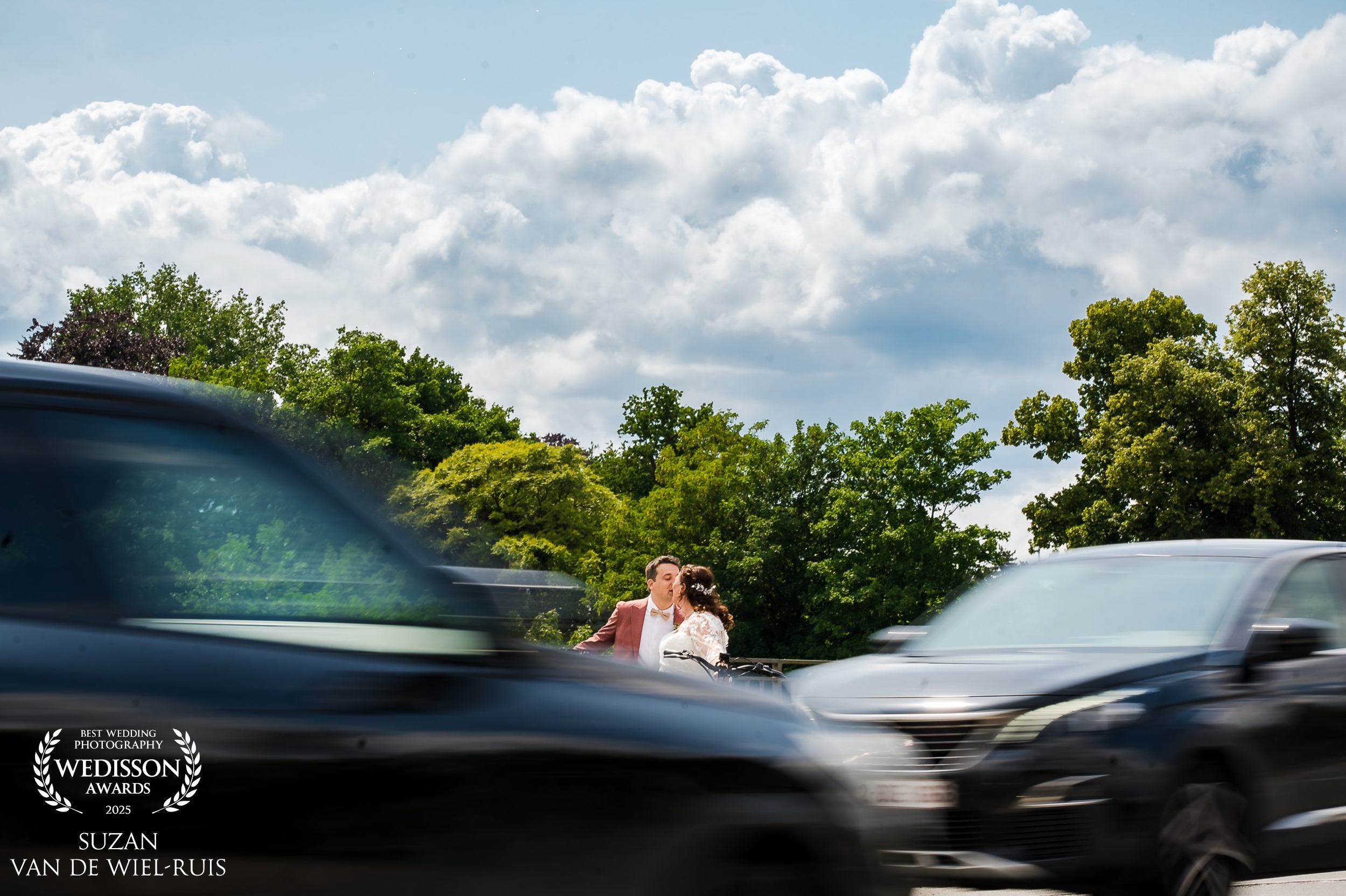 custom_logo_SUZAN_VAN_DE_WIEL_RUIS-netherlands-bspTWA-123collection-wedisson