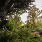Trouwfotograaf Efteling Trouwfotograaf Efteling